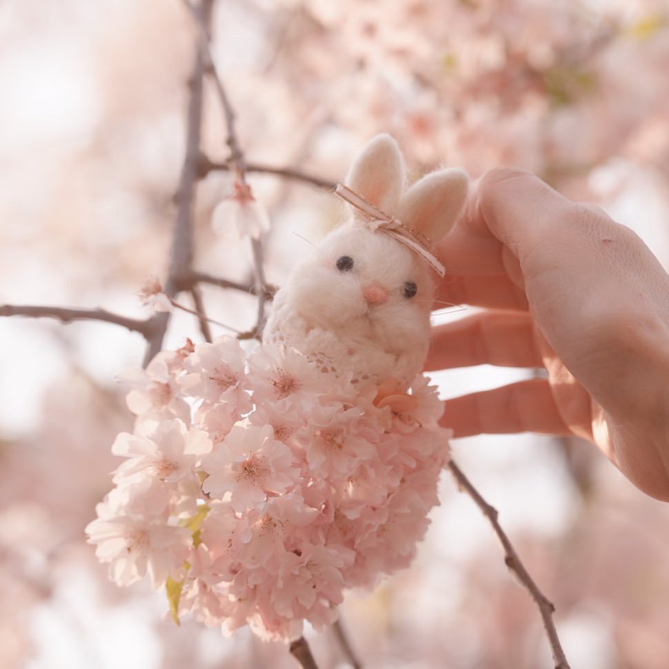 lapuchobimama's tweet image. うさちゃん咲いてた🌸