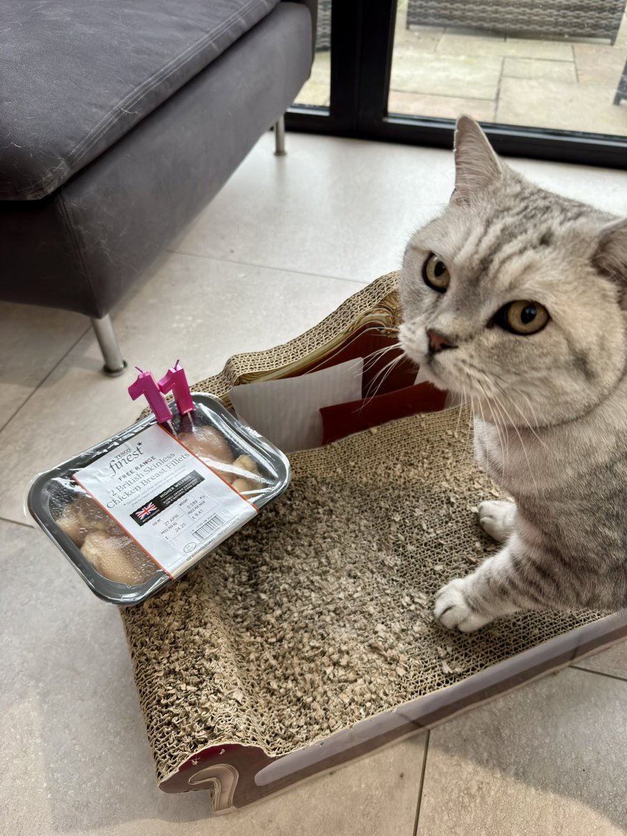 Frosty is now 11 years old!