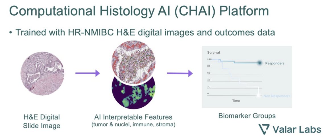 UroToday.com tweet media