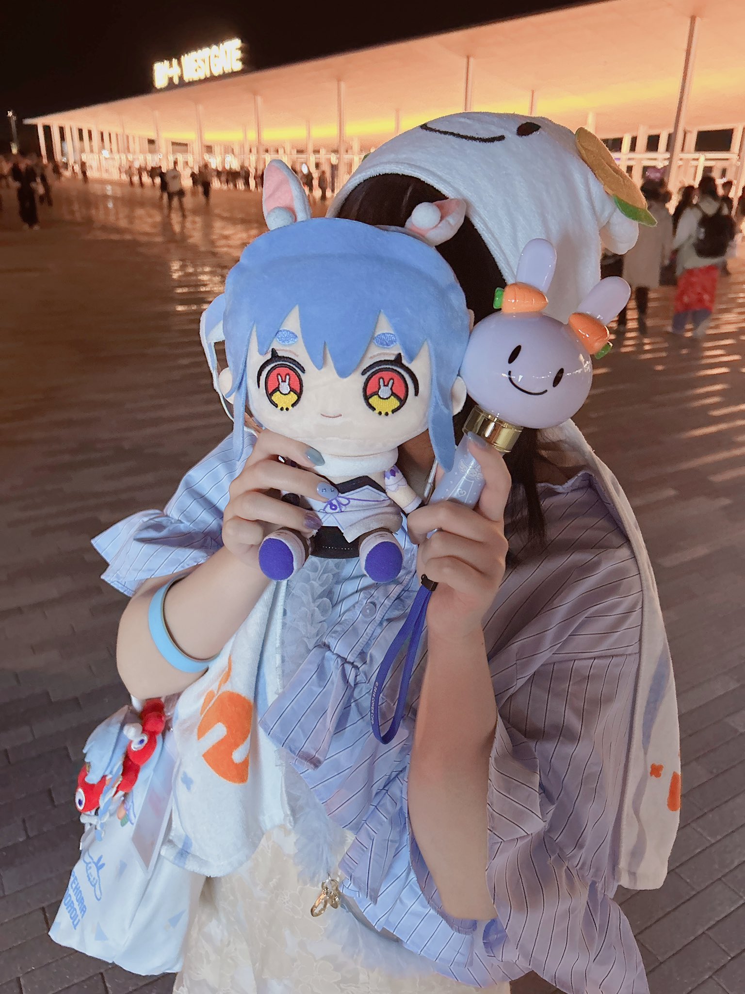 6th ゲーム・おもちゃ・グッズ C106 憂姫はぐれ 兎田ぺこら アロハ