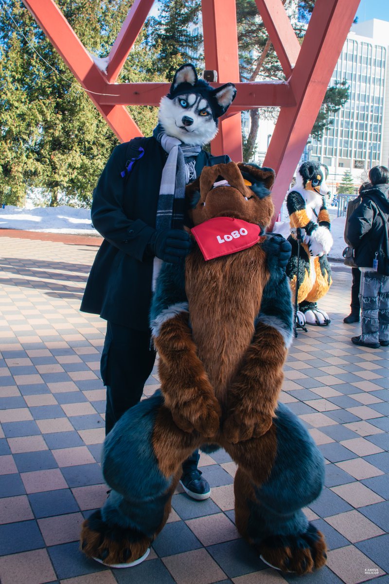 LOBO🐾 (@lobo_rottie) on Twitter photo When I see a handsome guy, I can't help but keep staring at him😳...
#ちるこん2025
📷<a href="/kannuk_helicop/">努克/Kannuk➡️二足歩行TwinTrails</a> When I see a handsome guy, I can't help but keep staring at him😳...
#ちるこん2025
📷<a href="/kannuk_helicop/">努克/Kannuk➡️二足歩行TwinTrails</a>