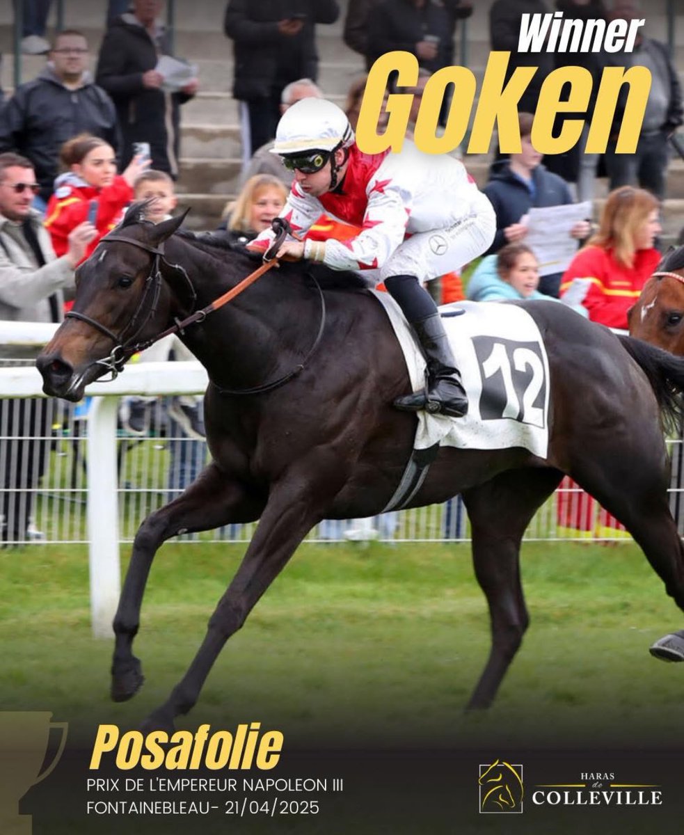 HarasColleville's tweet photo. Another two winners for GOKEN this week brings our son of Kendargent to 33 wins so far this year as he continues to top the Leading Sires in France table on both wins and prize money in 2025 https://t.co/2fSaQ6RsrU
