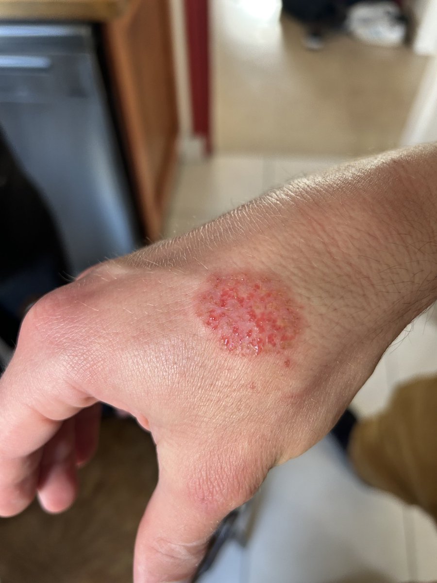 Mathias Wargon tweet media