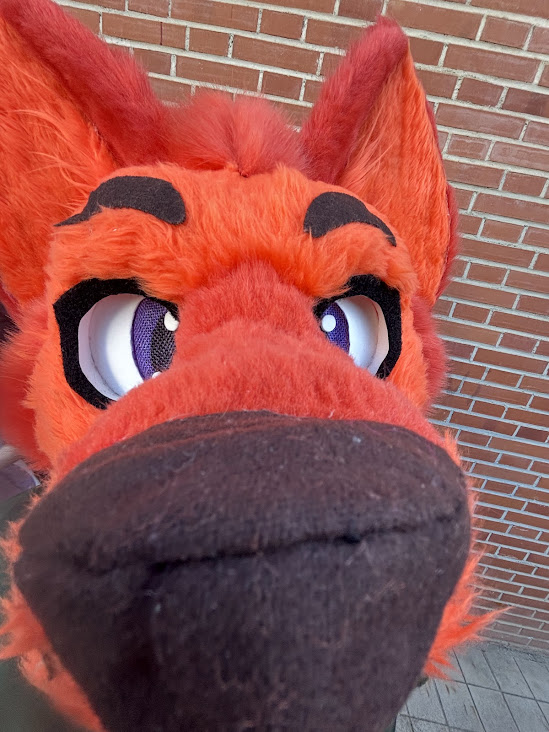 NordyElias🔜Ibercon tweet media