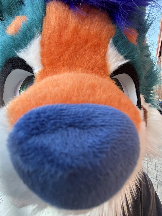 NordyElias🔜Ibercon tweet media