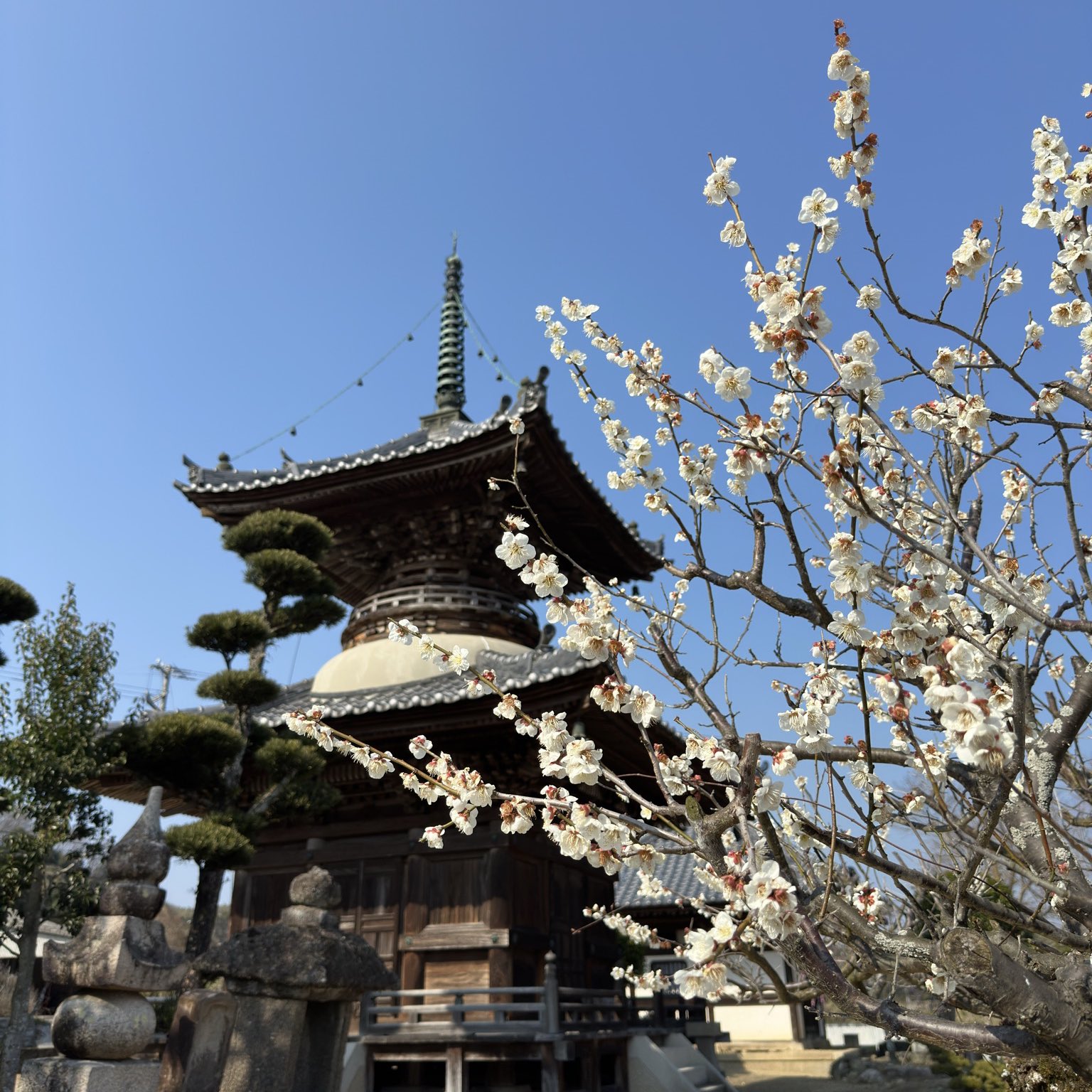 Amazon.co.jp: 中世に於ける社寺と社会との関係 : 平泉澄: 本