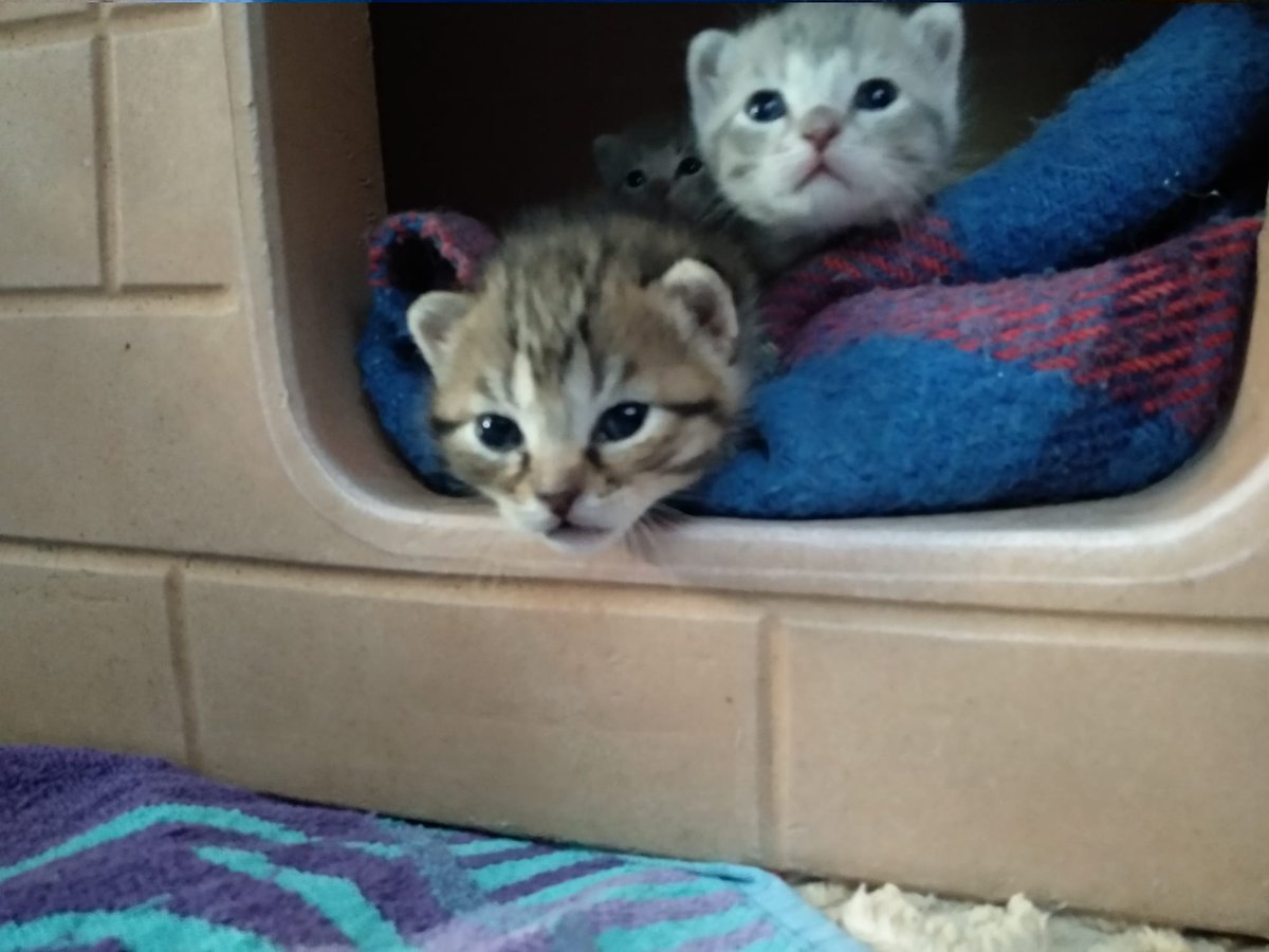 Cucù ❤️❤️❤️
I piccolini di Lunabella si affacciano sul mondo ❤️