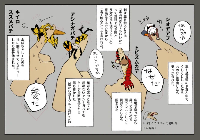 僕が過去「おのきください」で指に乗ってきて参った事が在る虫たち。 