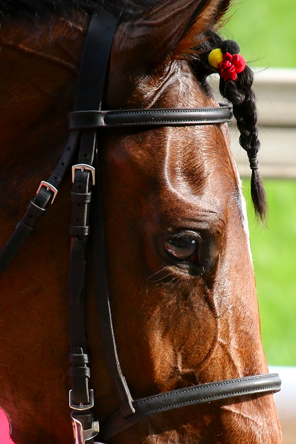 #リバティアイランド　
2023/05/21東京11R 優駿牝馬

R.I.P.