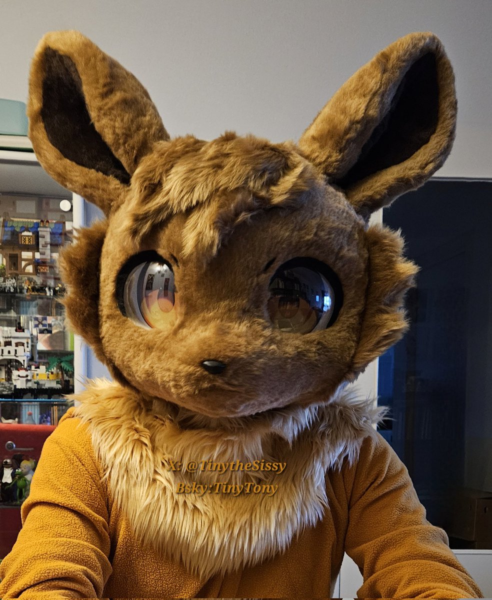 Happy Sunday. 
#Eevee