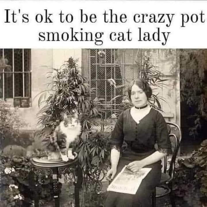 Vinyl Witch 🧙🏻 (@aflgirl126) on Twitter photo 