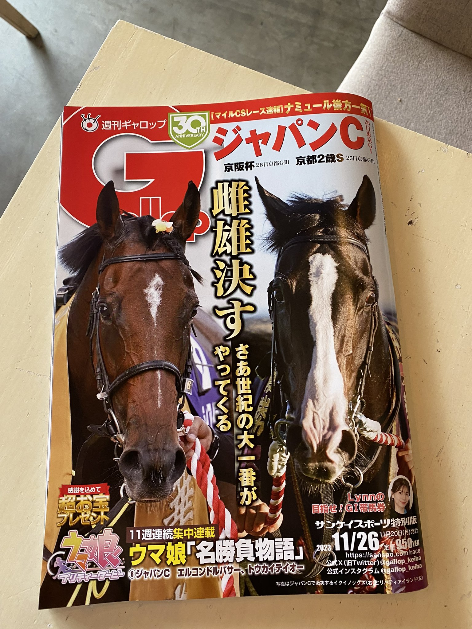 スーパーセール タイムセール 時間 佐々木崇仁 on X:  ぬいぐるみ