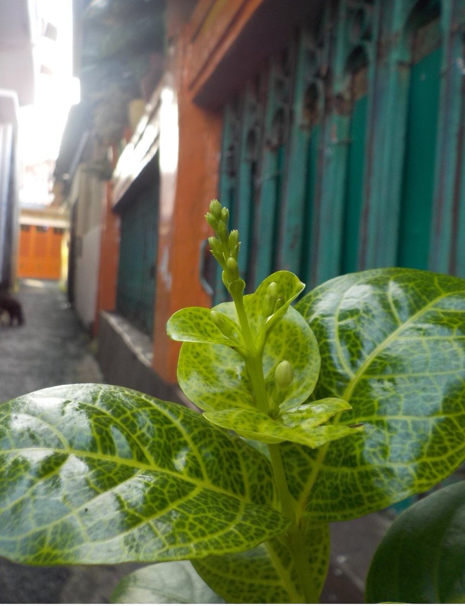 WTS digicam , Nikon coolpix w100 digicam ini bisa underwater niii

Kondisi mulus 95% karna jarang dipakai, dan pemakaian pribadi. Sudah ada bluetooth, wifi dan nfc jadi kirim foto langsung satset
For detail bisa pm ya. thanks✨️✨️✨️