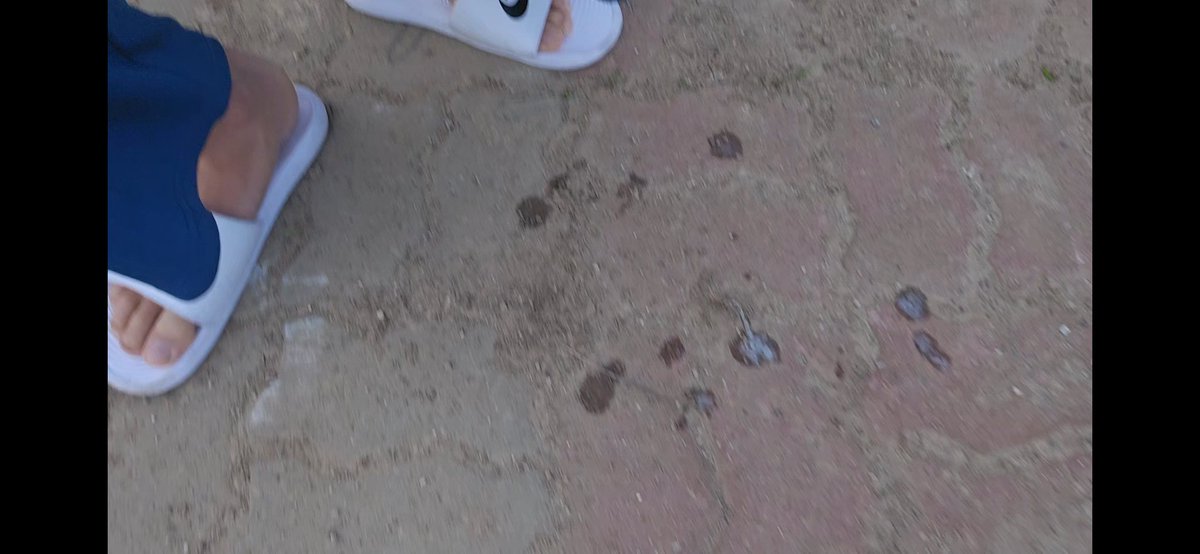 인간침받이 새끼들 선물^^ 오늘 승현이랑 만나서 영상 많이 찍었으니 기대해라 작품 존나 잘나왔다
#ㄱㅇ #게이 #풋돔 #풋섭 #남자발 #남자발영상 #남자스핏 #멜투멜돔 #게이돔 #gay