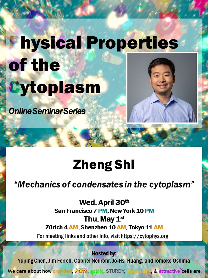 seedfeeder's tweet image. Please join us this Wed/Thu for Dr. Zheng Shi&apos;s (Rutgers) talk entitled &quot;Mechanics of condensates in the cytoplasm&quot; in the Physical Properties of the Cytoplasm online seminar series. For more info, visit cytophys.org