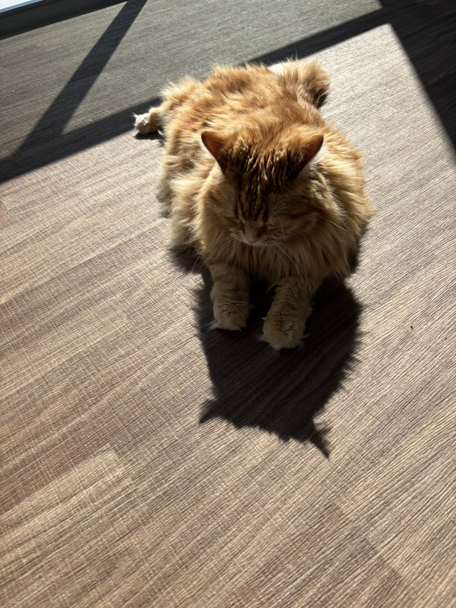 ちくわ (@sktfd0310) / Posts / X