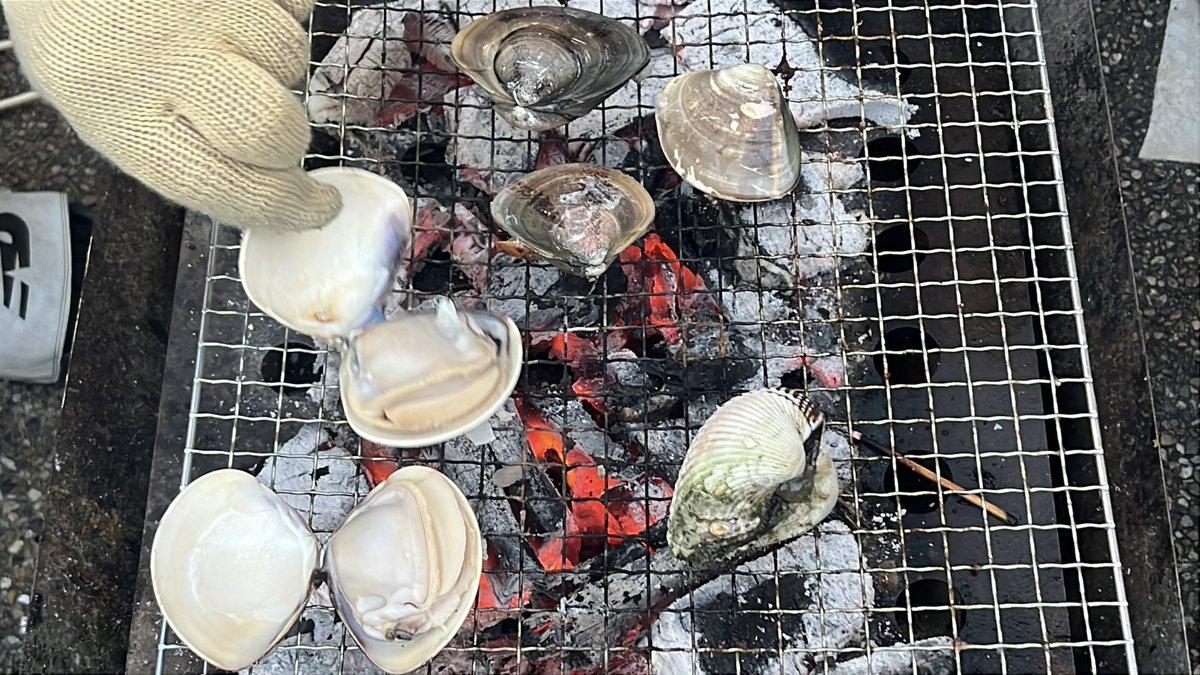 前は休日にカフェ巡り🥺🩷とかしてたのに、ここ最近は家でゲームするか、自然と触れ合ってる☺️
昨日は潮干狩り行ってきた！蛤ぷるんぷるんうますぎいいいいィ！