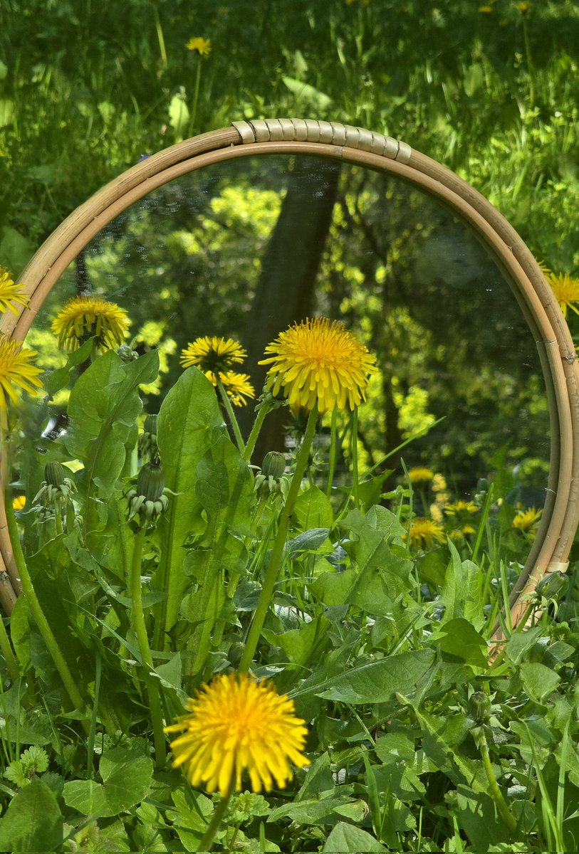 justyna_buszko's tweet image. #SundayYellow