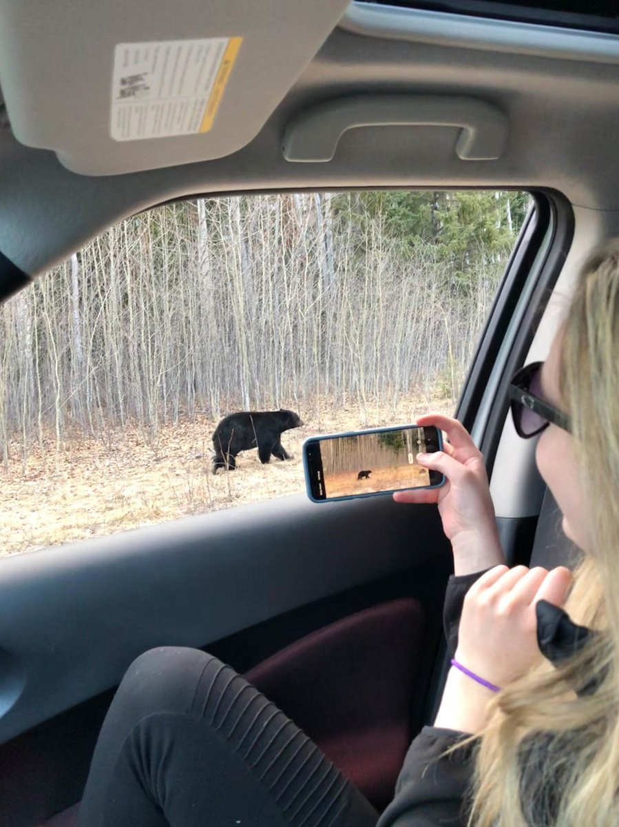 Riding Mountain National Park, Parks Canada tweet media