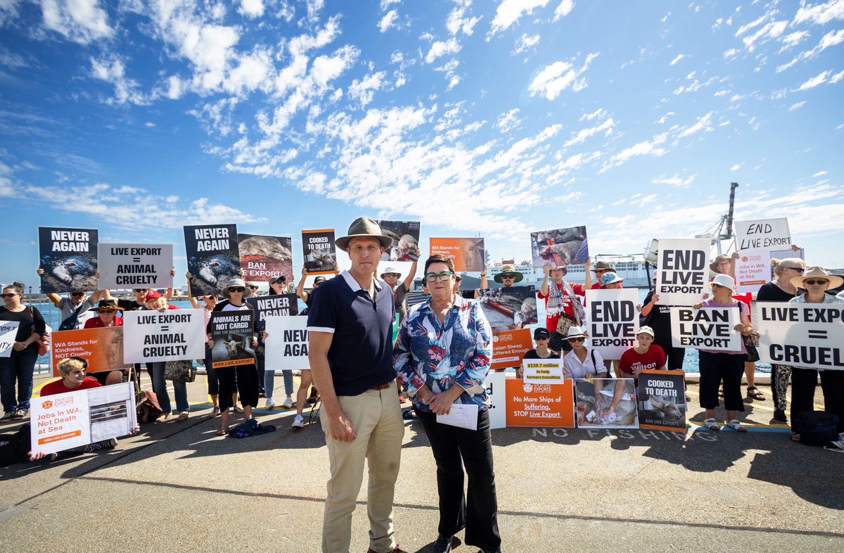 Debra Edmonds🐾 (@debedmonds60s) on Twitter photo Today’s <a href="/abclandline/">ABC Landline</a> was a let down for West Aussies against live export who are being swamped by the trade’s well backed propaganda machine.
I was at the interview with others who want to #BanLiveExport & we expected more balance. Not a free live export ad. Today’s <a href="/abclandline/">ABC Landline</a> was a let down for West Aussies against live export who are being swamped by the trade’s well backed propaganda machine.
I was at the interview with others who want to #BanLiveExport & we expected more balance. Not a free live export ad.