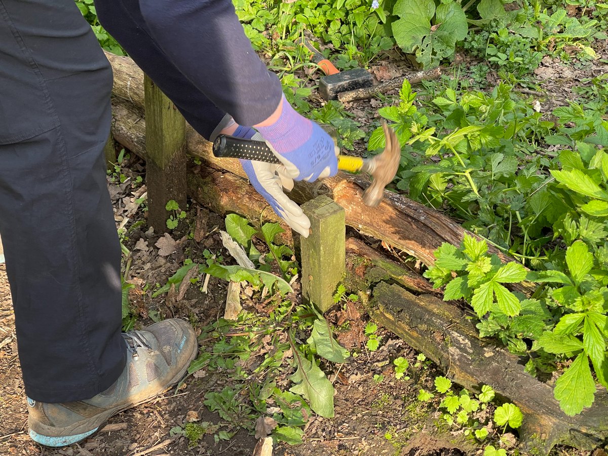 Our next Task Event will be on Saturday 3 May 10.00 - 12.00 noon. We will meet at the Springwood Drive entrance to Chaddesden Wood. Please wear appropriate footwear &amp; clothing and bring gardening gloves if you have them. <a href="/derby_parks/">Derby Parks</a> <a href="/oakwoodderby/">Oakwood Derby</a> <a href="/Natures_Voice/">RSPB</a> @greenflagaward