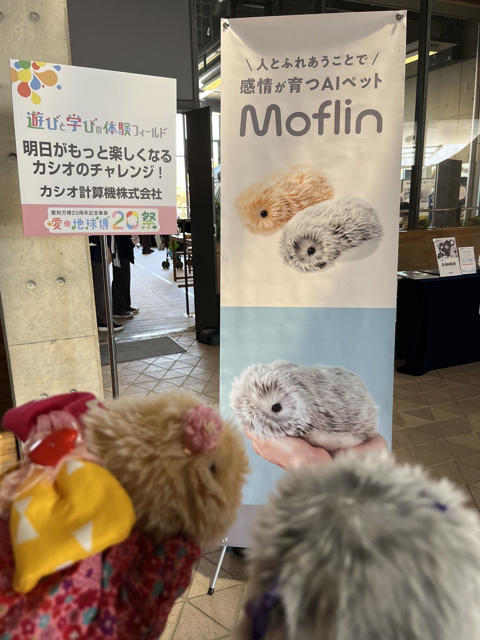 公式】Moflin(モフリン)|感情が育つAIペット (@casio_moflin) / X 公式】Moflin(モフリン)|感情が育つAIペット (@casio_moflin) / X