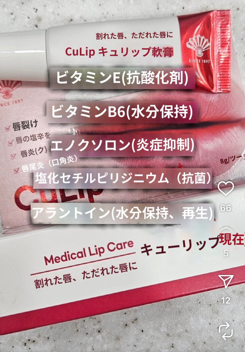 porebokumetsu's tweet photo. 唇が乾燥して荒れまくり😭で、
韓国人のオンニ(薬剤師)に相談したら
これを教えてくれたよ🥺🫶
규립연고(キューリップ軟膏)って言うぐらいだから入ってる成分がめっちゃ良いの🥲💖
何しても荒れちゃう唇の人はぜひこれ使ってみて🥺
薬局でしか買えなくて大体7000ウォンくらい🫶
次の日一日中プルプル https://t.co/EbiWeFMUzF