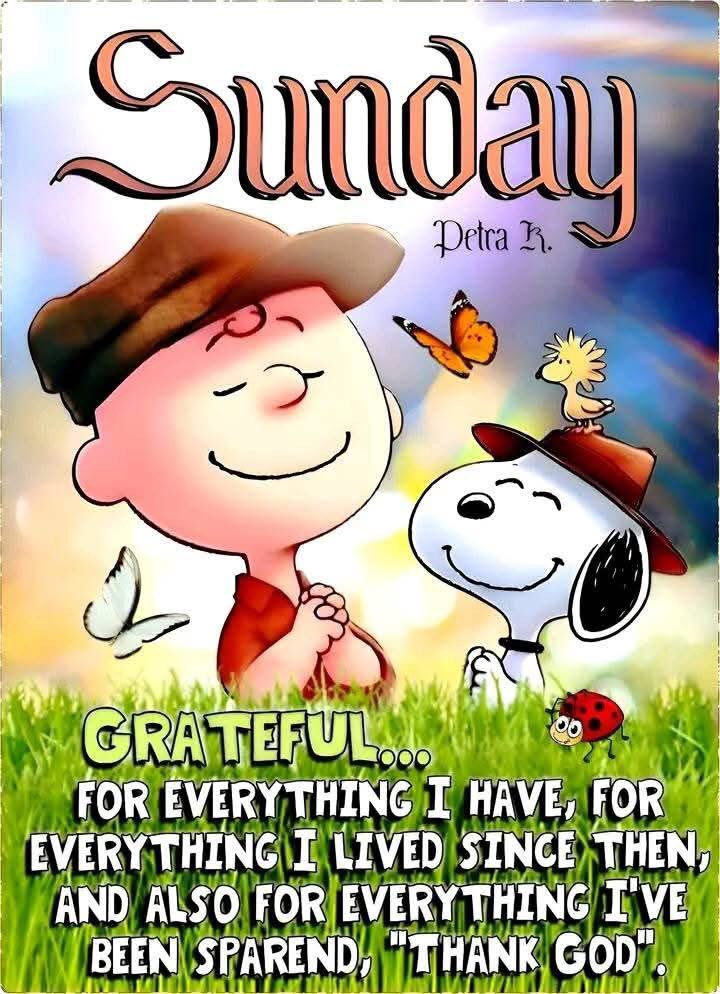Happy Sunday