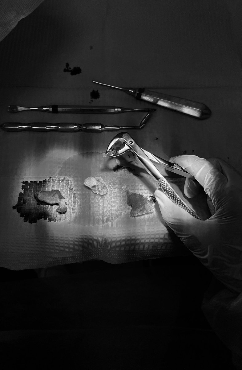 محمد القسومي tweet media