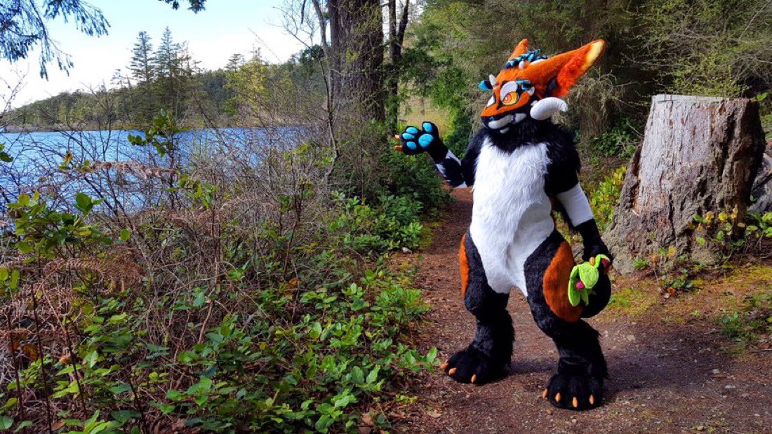 Rise and meet the day on this beautiful #SkyproSunday😘💙

#furry #furries #fursuit #fursuits <a href="/DutchADs/">🌻Dutch Angel Dragons🌻</a> <a href="/Skyprocostumes/">Skyprocostumes🌻</a>