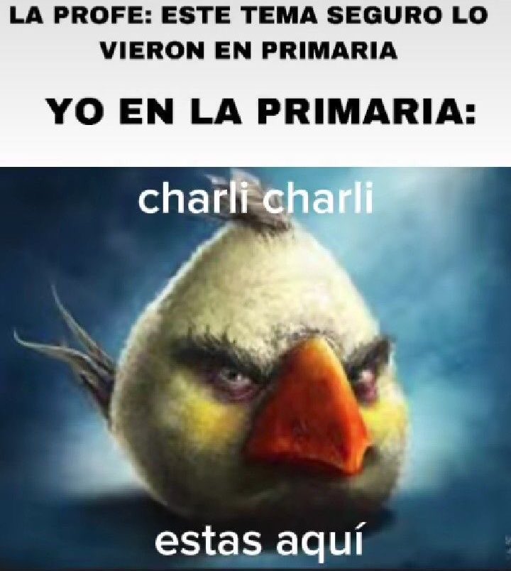 Memakker's tweet image. 