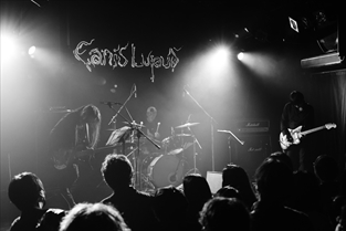 #CanisLupus ツアー初日レポが公開されました！
コチラをご覧ください↓
ch.nicovideo.jp/fools-mate/blo…
#ヤマジカズヒデ
#森川誠一郎
#箕輪政博
#dip
#ZOA
#イルボーン