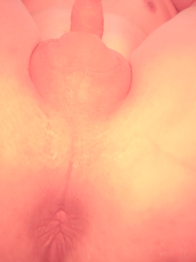 浩浩浩 tweet media