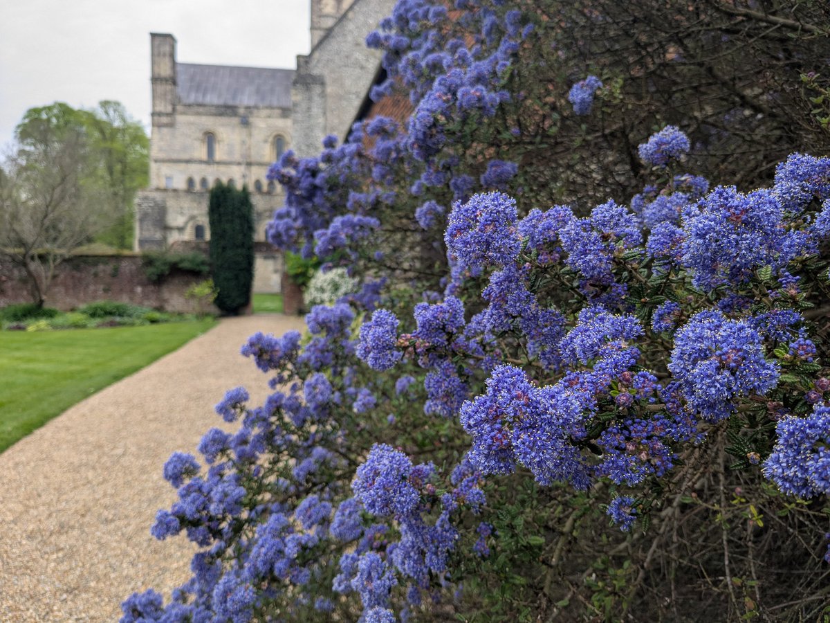 Friends of St Cross Winchester tweet media