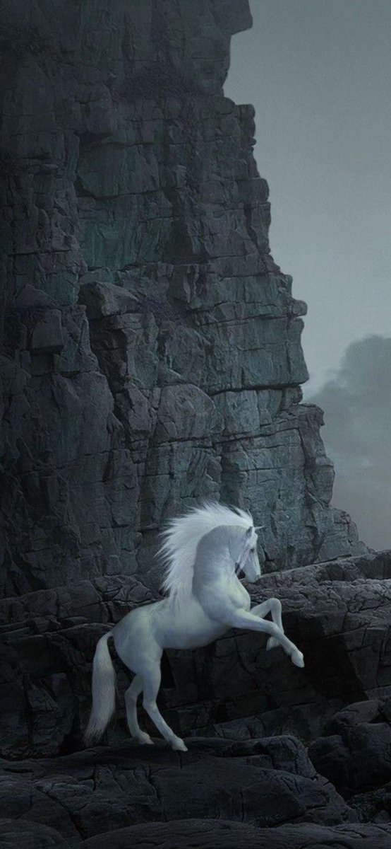 في«السنن الكبرى» عن الفاروق:
«لايعجبنكم من الرجل طنطنته».

*الطنطنة:كثرة الكلام بالمثاليات.

┋𝐌┋♯̶