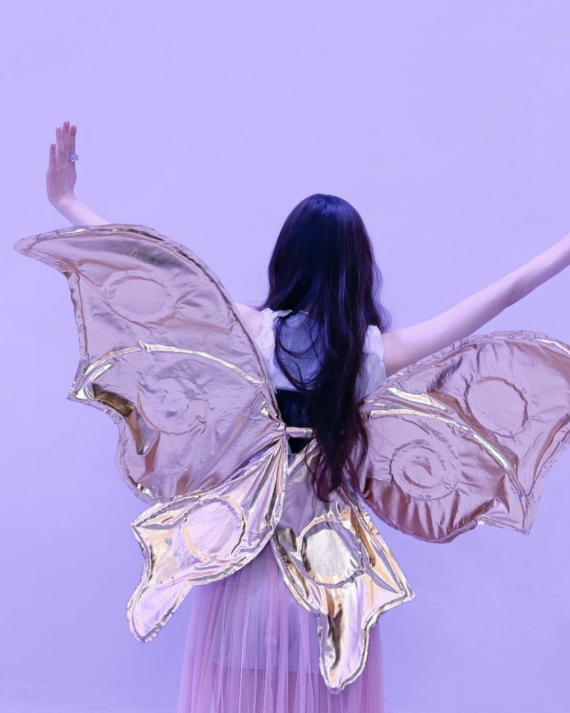 hwanr's tweet photo. if I had butterfly wings…¿ https://t.co/lQrPUTBxxw