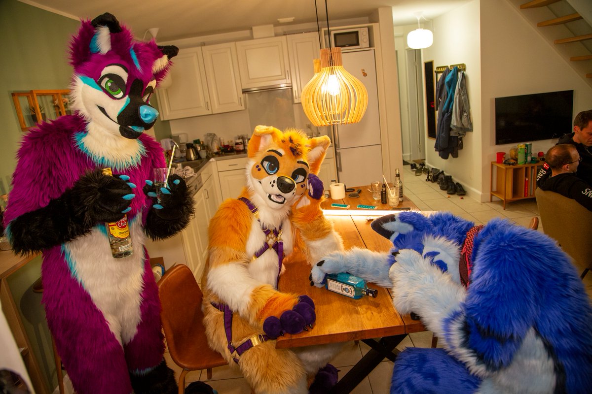 It's this time of the year again 😅
Maybe don't overdo the drinking 😜

🟡🐕 <a href="/RyanStarHusky/">RyanTheHusky 🔜 EF, TFI, Animalz, NFC</a> 
🔵🐕 <a href="/BluesugarDK/">Bluesugar</a> 
📸 <a href="/the_Wux/">Wux</a>