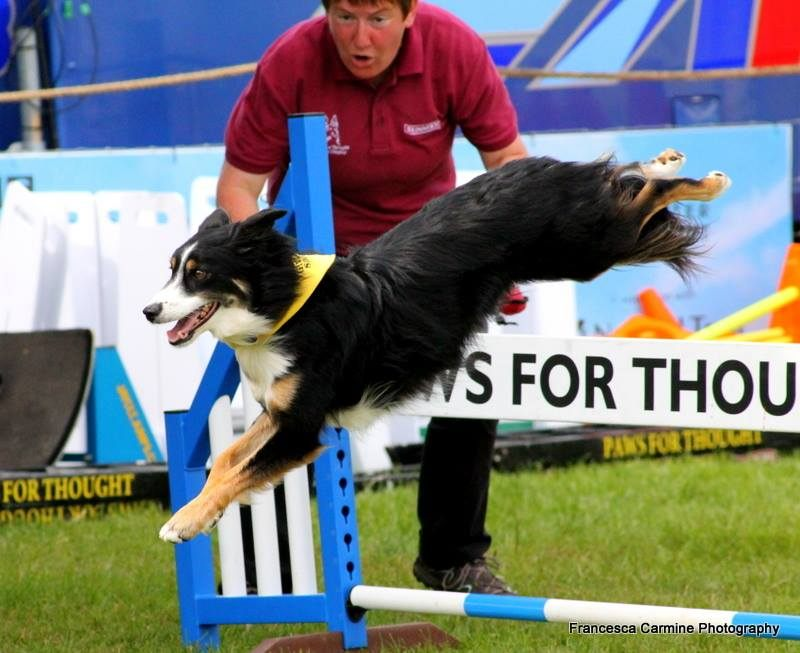 Bartestree Village Fete tweet media