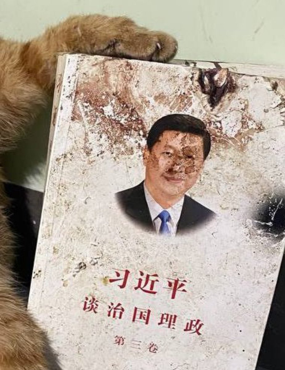 001blacksheep's tweet photo. Here are a few places where you can pressure the peoples republic of china to enact Animal welfare laws and impose harsh punishments on those who torture and kill #Animals.
#therealchina
#SavechineseCats
#stopyulin
#boycottchina
#chinesepeople ⬇️ https://t.co/S9egmbJXiW https://t.co/aI79dbt3lG