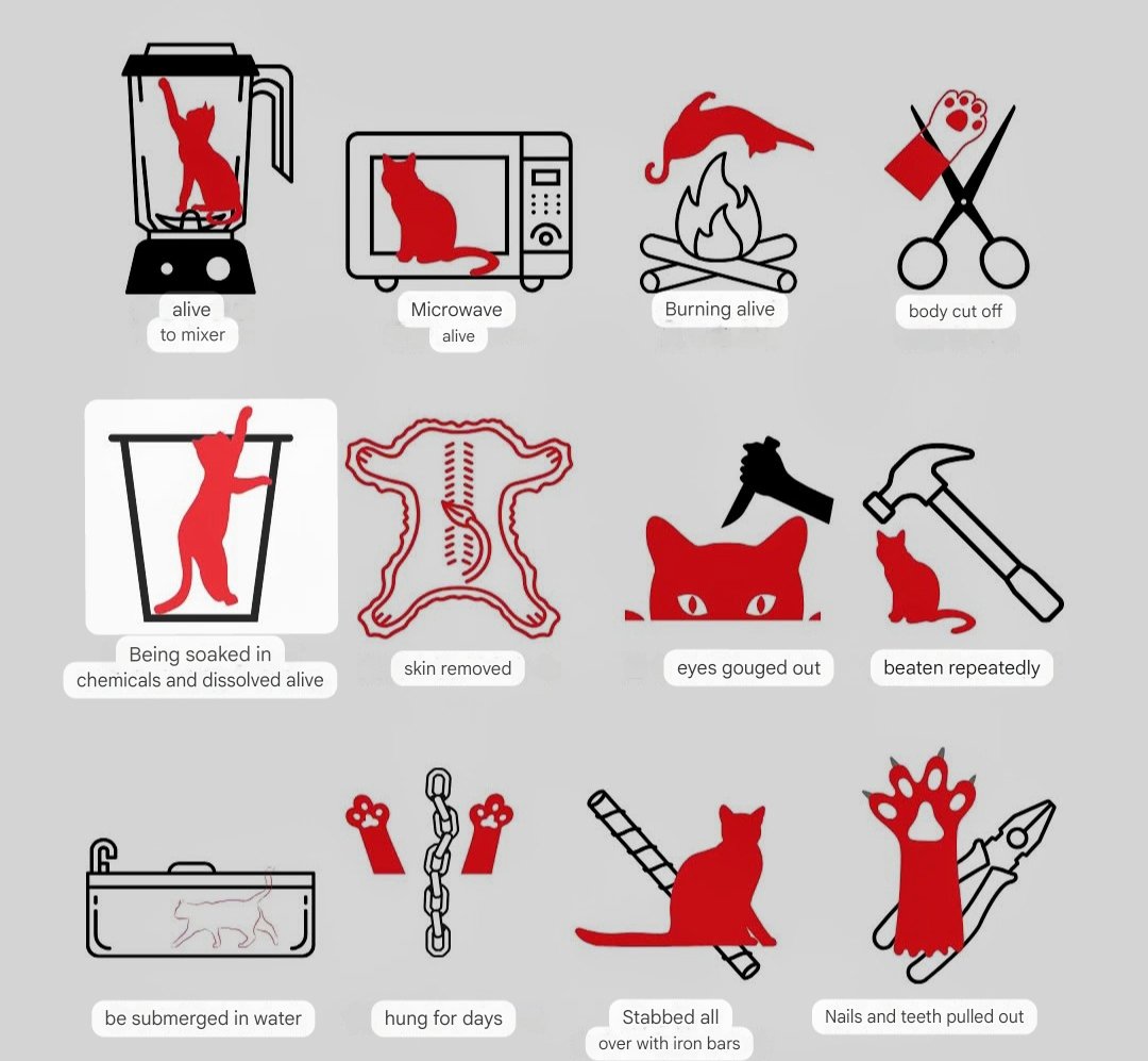 001blacksheep's tweet photo. Here are a few places where you can pressure the peoples republic of china to enact Animal welfare laws and impose harsh punishments on those who torture and kill #Animals.
#therealchina
#SavechineseCats
#stopyulin
#boycottchina
#chinesepeople ⬇️ https://t.co/S9egmbJXiW https://t.co/aI79dbt3lG
