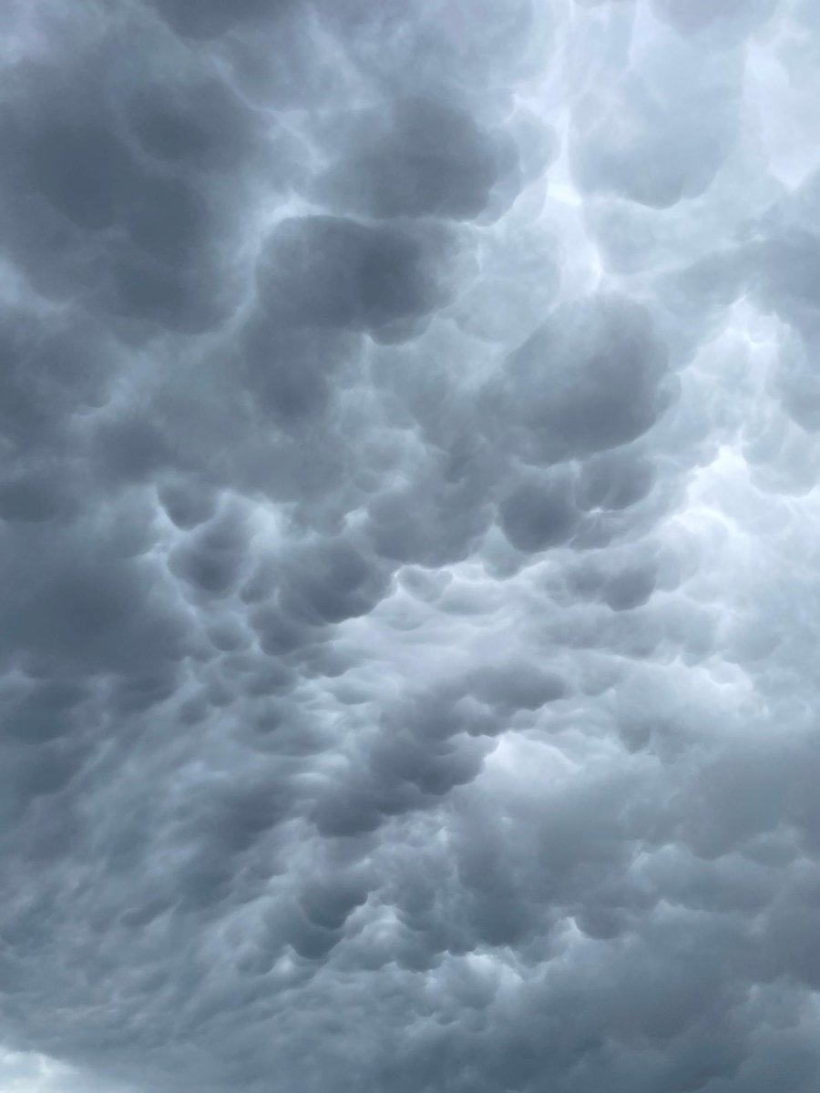 meteosuisse's tweet image. Les cellules #orageuses de ce dimanche 27 avril ont révélé de somptueuses formes nuageuses, de l'arc en bordure d'averse aux mammatus! 

Merci pour vos jolies photos partagées dans les observations météo de l'App #MétéoSuisse

#nuages #orages #convection #obsmeteo
