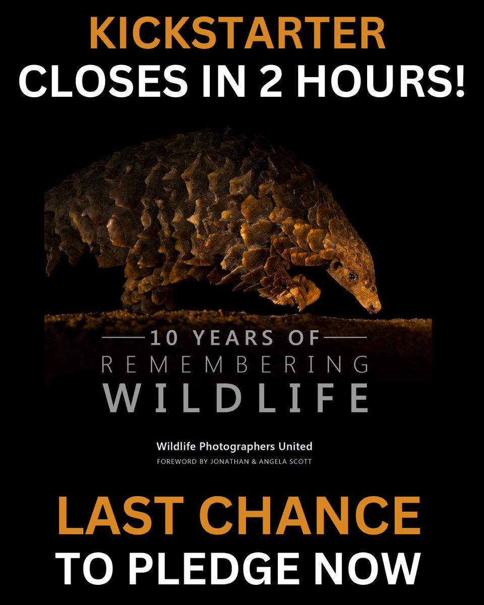 Kickstarter closes in 2 hours at 21.00 BST today, so if you are still intending to pledge for books, limited editions, jewellery, artwork &amp; photography prints or bargain luxury safaris, the next two hours are your LAST CHANCE. Pledge here: kickstarter.com/projects/margo…