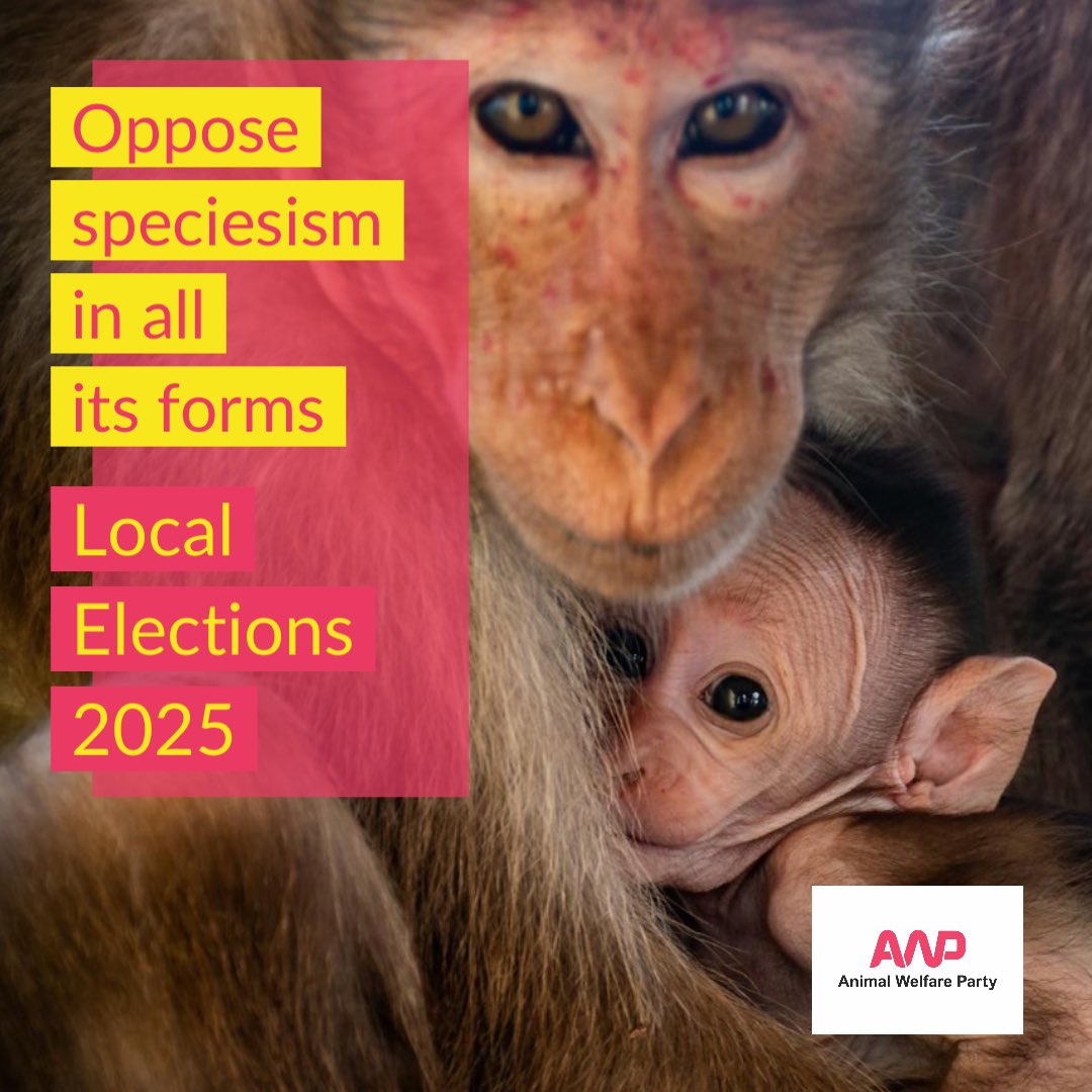 ✋🏽Time to make a stand again #speciesism. In the May 1st Local Elections, AWP’s candidates are committed to opposing speciesism in all its forms. They know that all life is precious and it’s only when we respect &amp; value the needs of all that we can truly flourish as a society.🧵