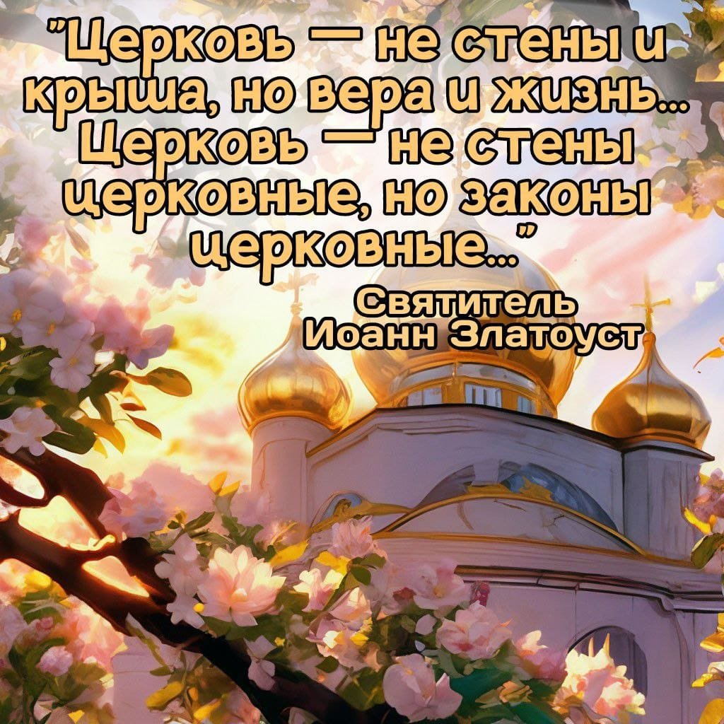 Svitlana (@svitlan92845370) on Twitter photo 