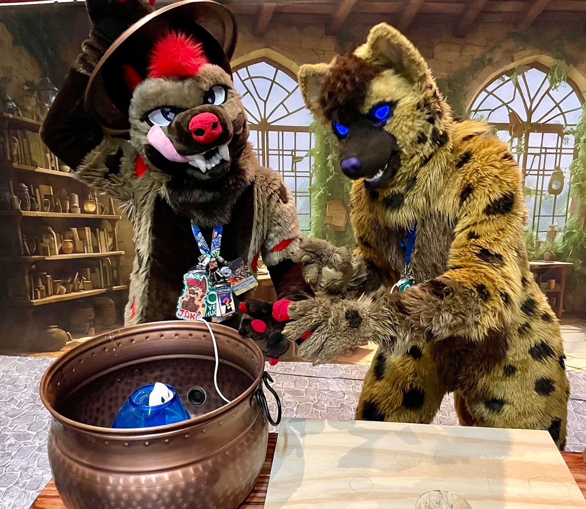 Vox Fox@LVFC (@minstrelbill) on Twitter photo It's #InternationalHyenaDay today. Here we have two curious yeens investigating what appears to be a wizard's laboratory at BLFC in 2023. Fortunately they didn't blow anything up or break anything. It's <a href="/SiegeDaWolfsky/">Siege@Megaplex,AFC,BLFC,PawCon2025</a> and Rafiki. It's #InternationalHyenaDay today. Here we have two curious yeens investigating what appears to be a wizard's laboratory at BLFC in 2023. Fortunately they didn't blow anything up or break anything. It's <a href="/SiegeDaWolfsky/">Siege@Megaplex,AFC,BLFC,PawCon2025</a> and Rafiki.