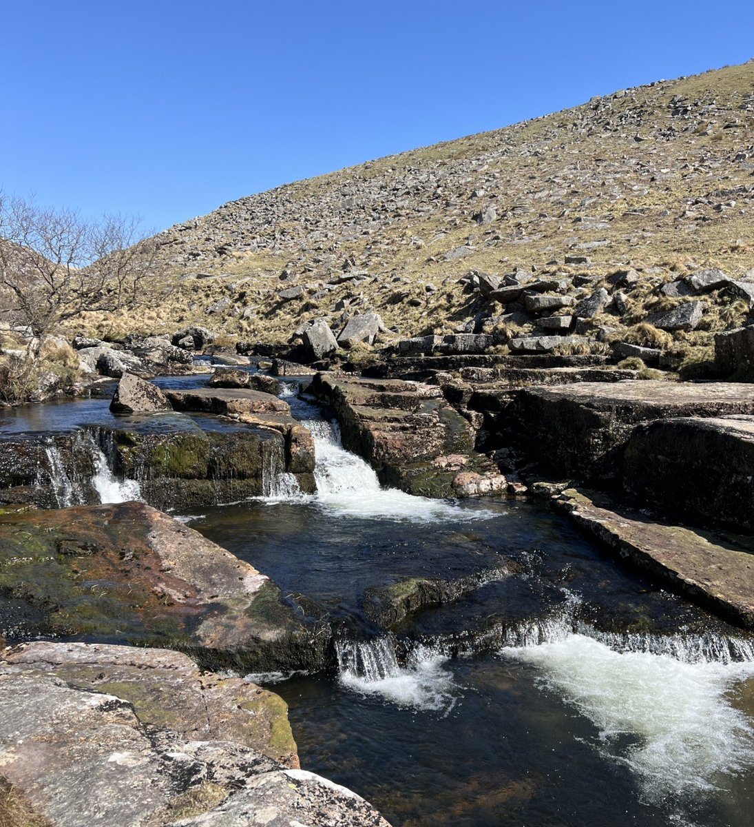exploringexeter's tweet image. Tavy Cleave: A magical spot for a swim on Dartmoor.

The where and how 👇👇👇

exploringexeter.co.uk/tavy-cleave-a-…