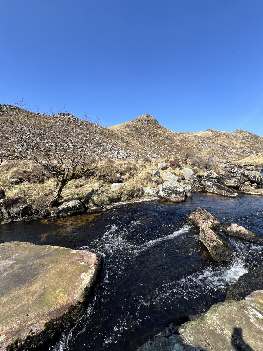 exploringexeter's tweet image. Tavy Cleave: A magical spot for a swim on Dartmoor.

The where and how 👇👇👇

exploringexeter.co.uk/tavy-cleave-a-…
