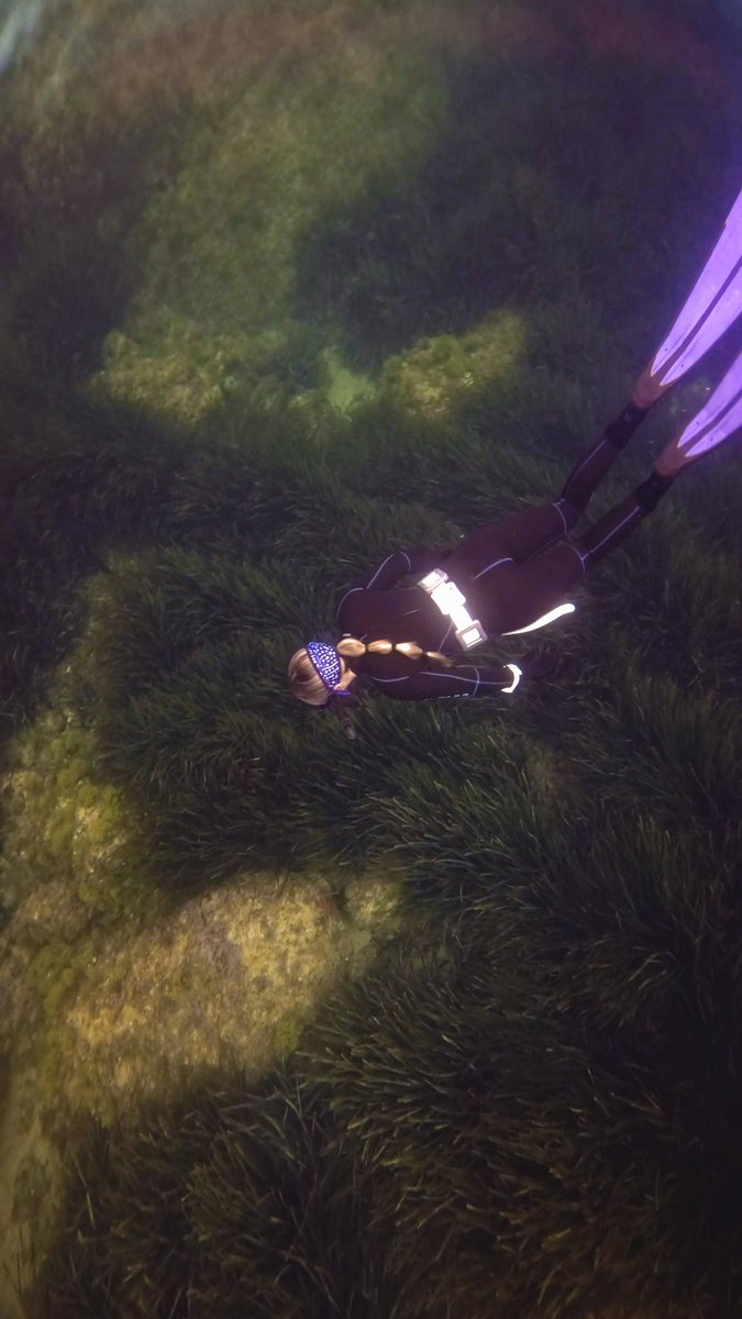 𝕴𝖓𝖌𝖗𝖎𝖉 🧜🏼‍♀️ tweet media