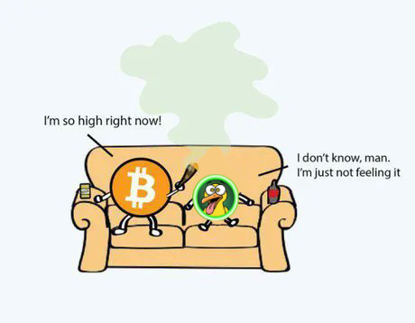 PSYCHO Ducky tweet media