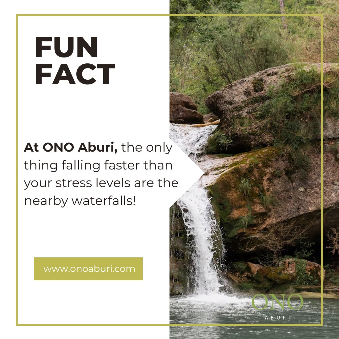 ONO_Aburi's tweet image. Cool breezes, lush views, and nature’s playlist are just minutes away at ONO Aburi— no spa appointment needed. 😌

#ONOAburi #WaterfallVibes #NatureTherapy #FunFacts #EscapeTheOrdinary